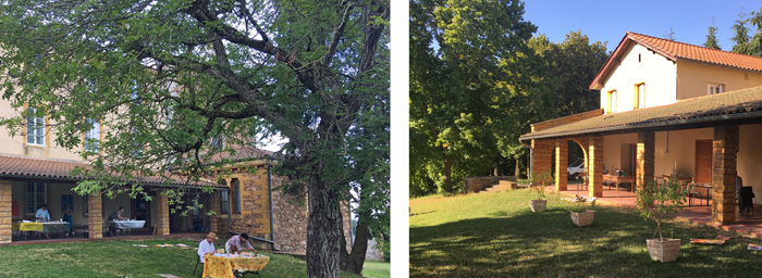 Venus-Idee mag es überall